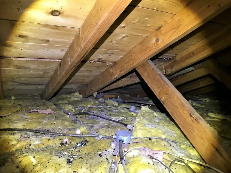 Mold on attic roof boards and insulation