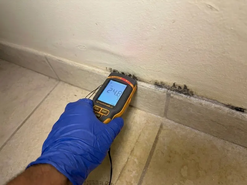 Moisture meter checking a wall for hidden mold