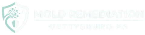 Mold Remediation Gettysburg PA logo